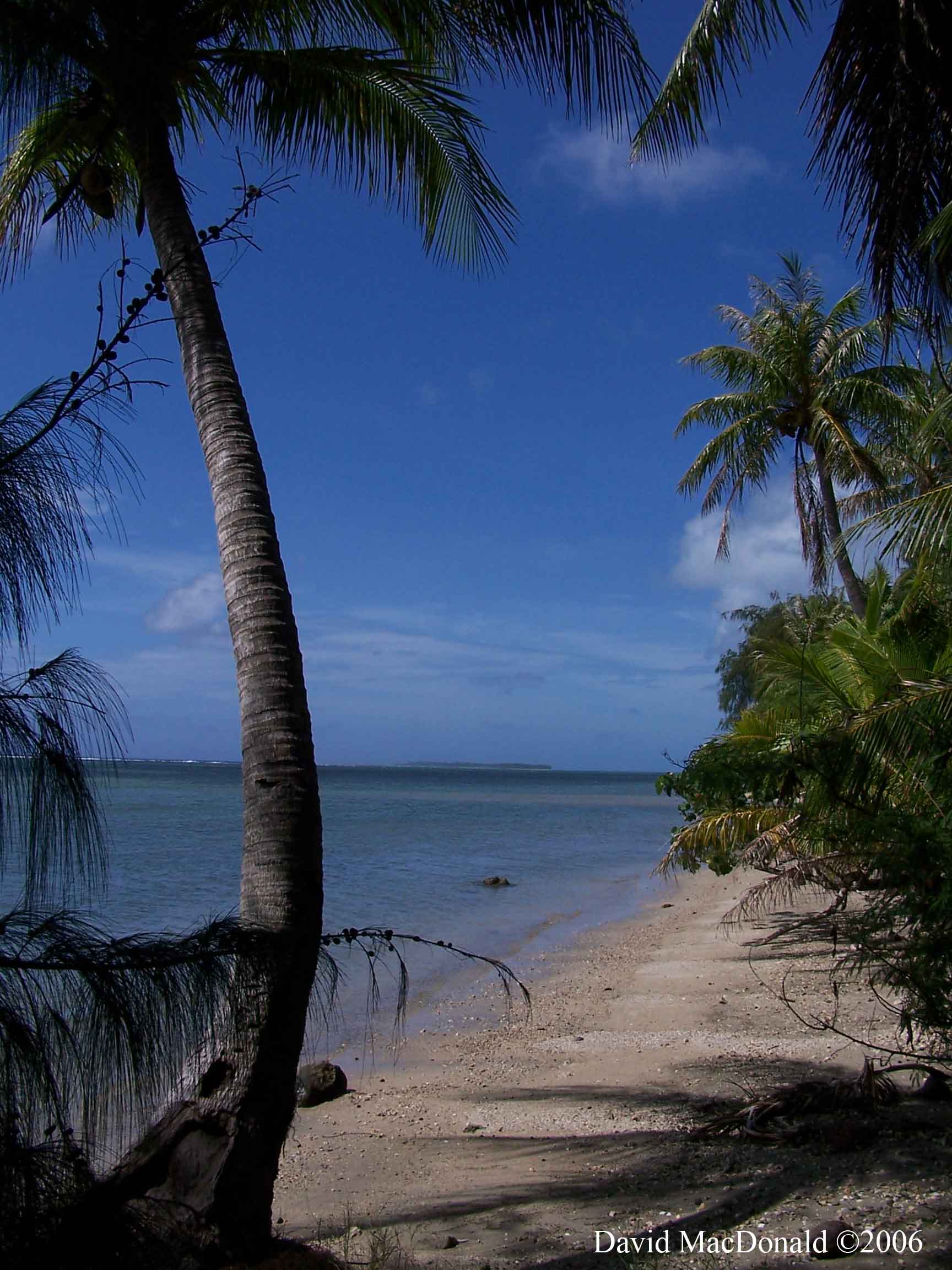 Secluded Beach, Guam 