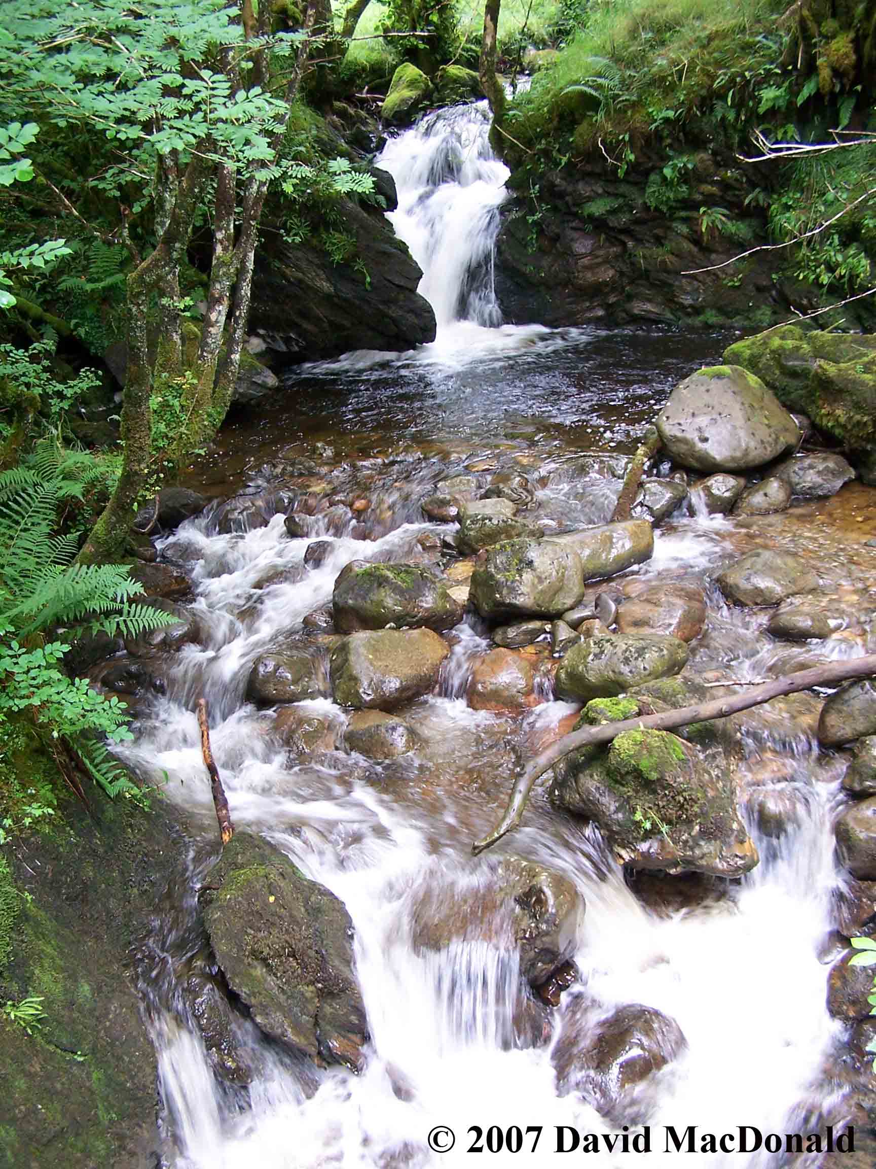 Glencoe stream